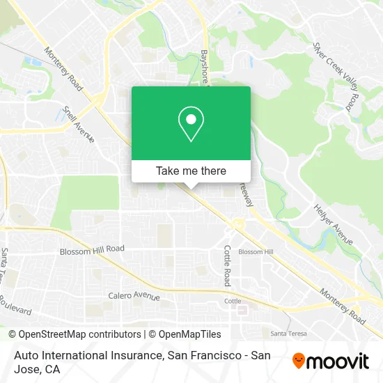 Auto International Insurance map