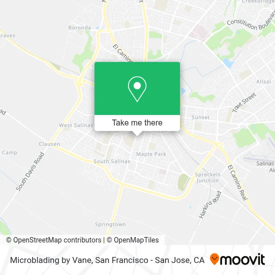 Microblading by Vane map