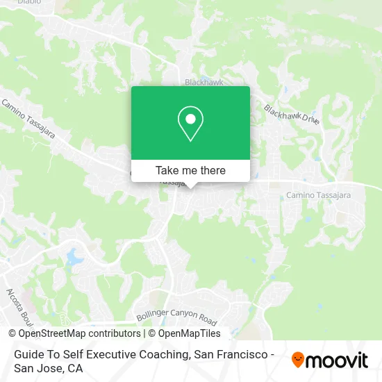 Guide To Self Executive Coaching map