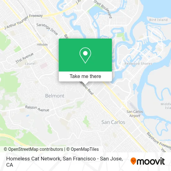 Homeless Cat Network map