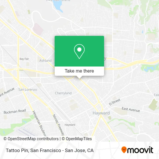 Tattoo Pin map