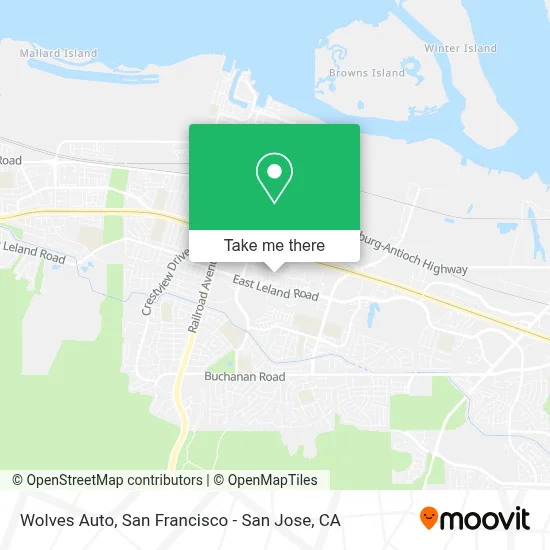Wolves Auto map