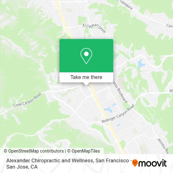 Alexander Chiropractic and Wellness map