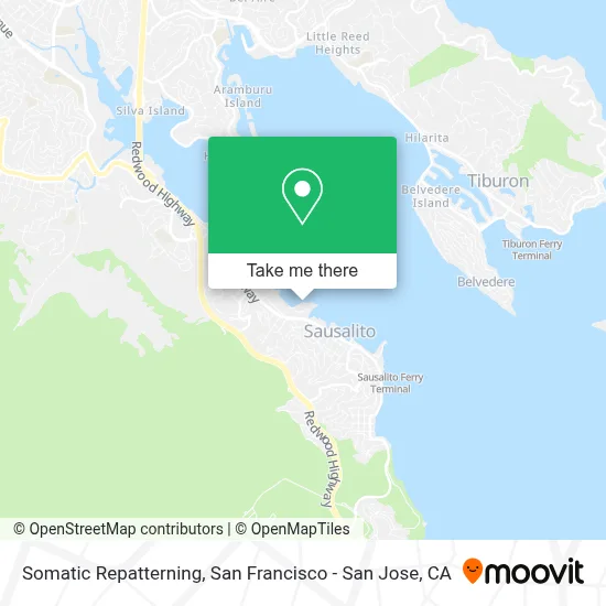 Somatic Repatterning map