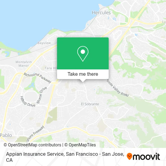 Appian Insurance Service map