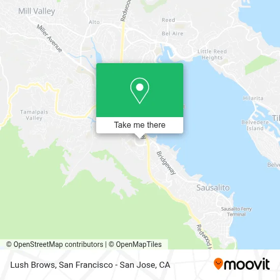Lush Brows map