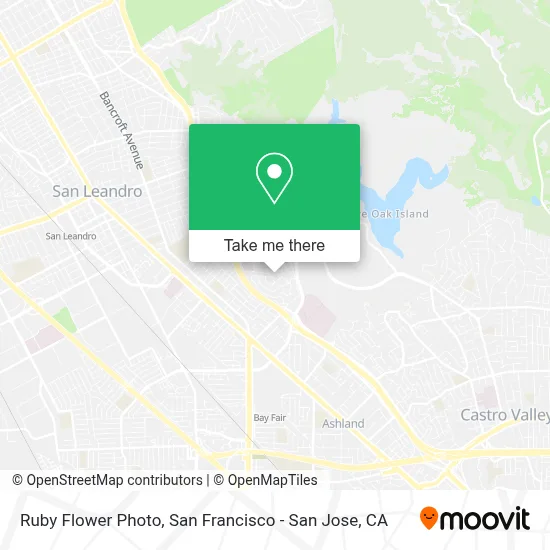 Ruby Flower Photo map