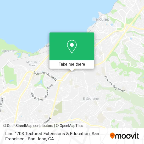 Line 1 / 03 Textured Extensions & Education map