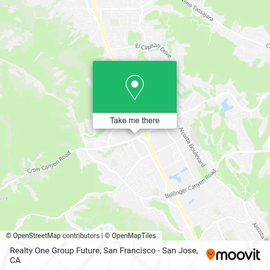 Realty One Group Future map