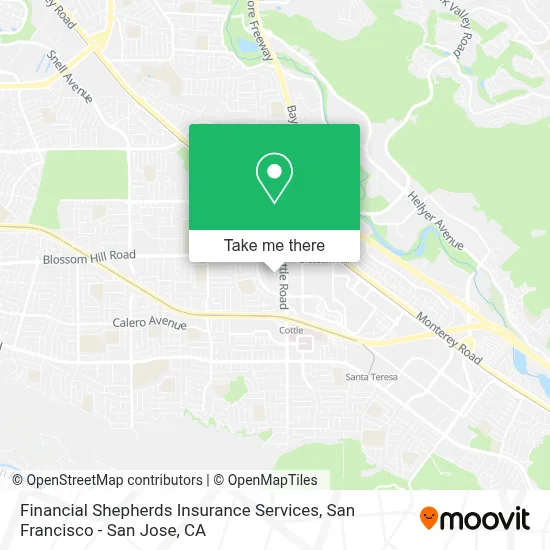 Financial Shepherds Insurance Services map