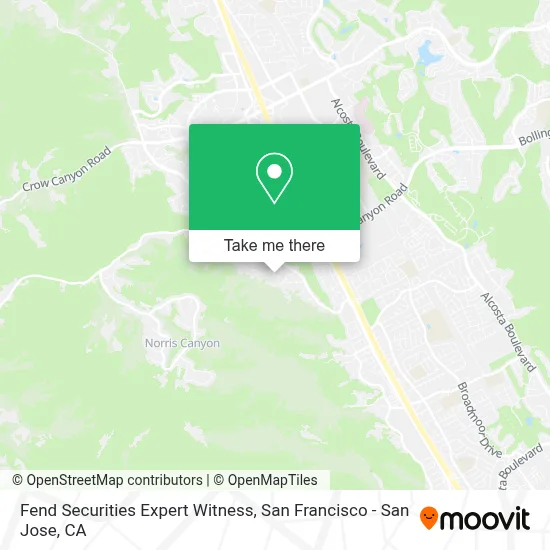 Fend Securities Expert Witness map