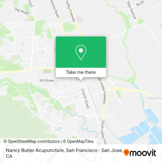Nancy Butler Acupuncture map