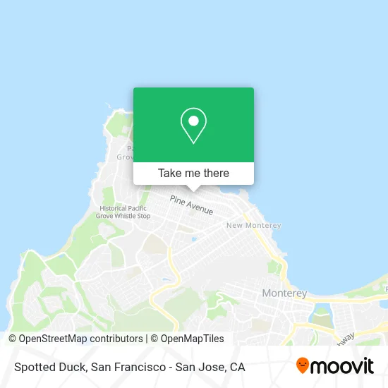 Spotted Duck map