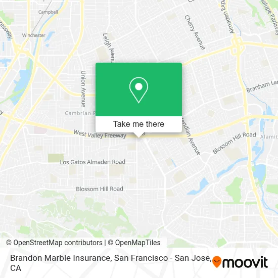 Brandon Marble Insurance map
