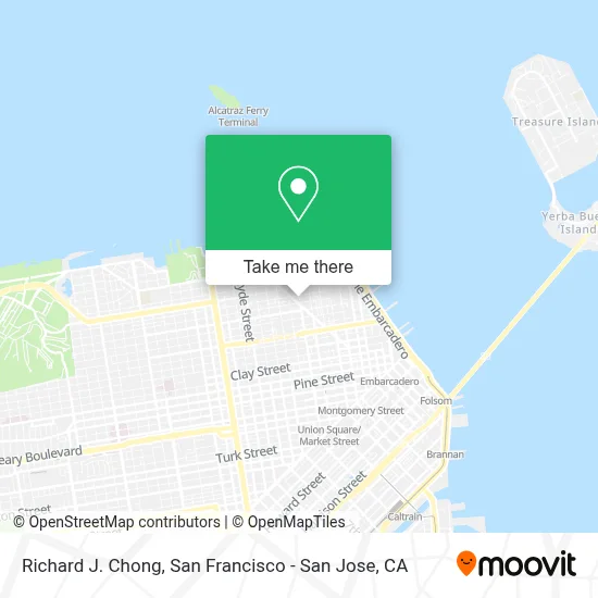 Richard J. Chong map