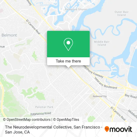 The Neurodevelopmental Collective map