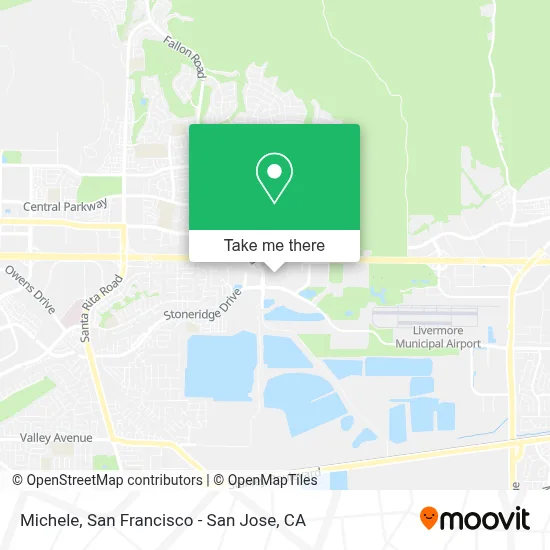 Michele map