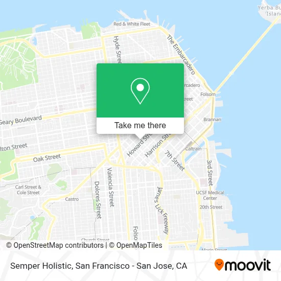 Semper Holistic map