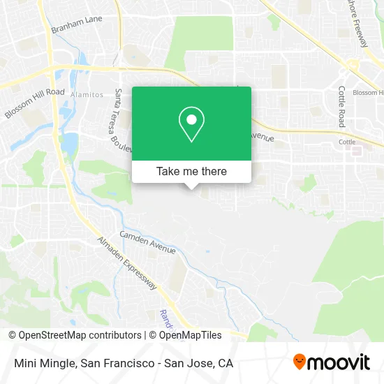 Mini Mingle map