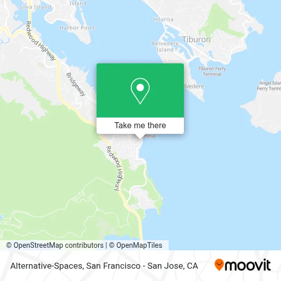 Alternative-Spaces map
