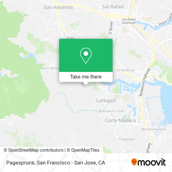 Pagespruce map