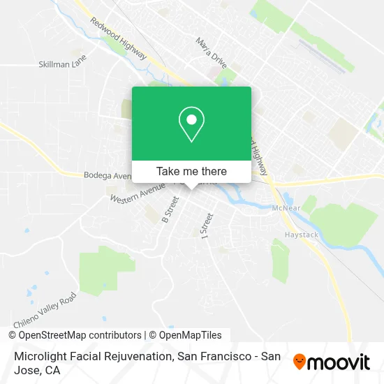 Microlight Facial Rejuvenation map
