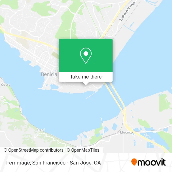 Femmage map