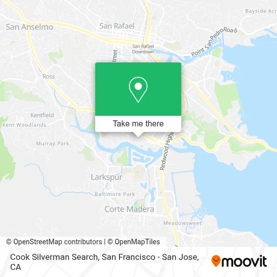 Cook Silverman Search map