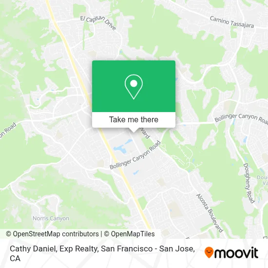 Cathy Daniel, Exp Realty map