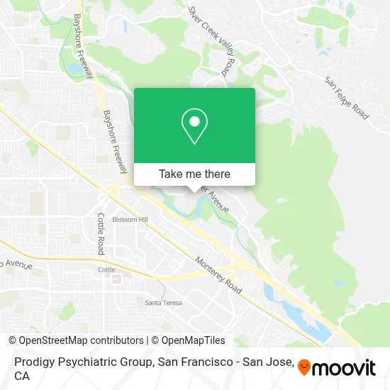 Prodigy Psychiatric Group map