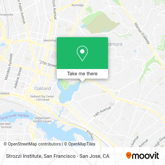 Strozzi Institute map