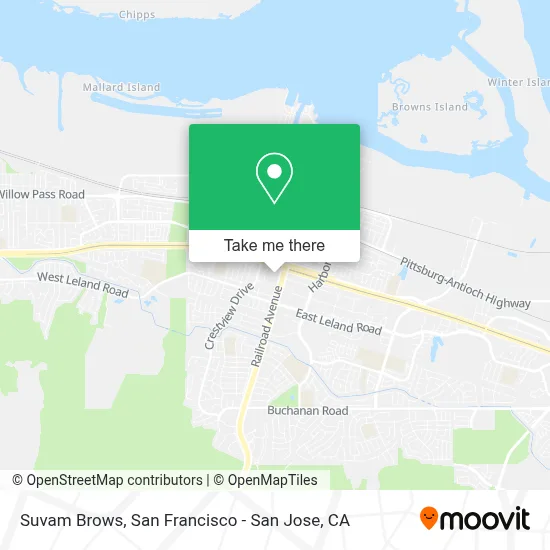 Suvam Brows map