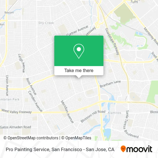 Pro Painting Service map
