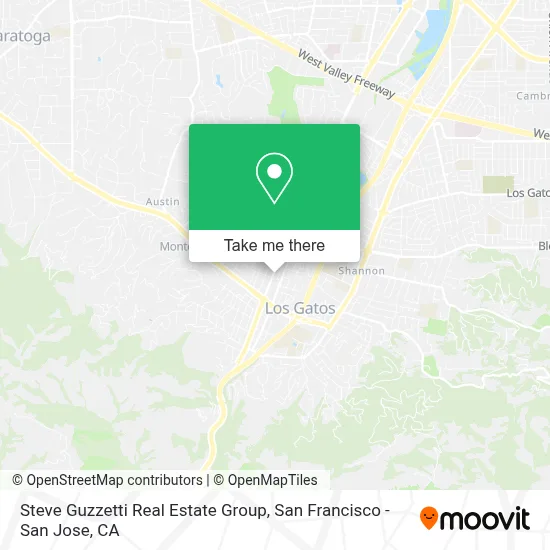Steve Guzzetti Real Estate Group map