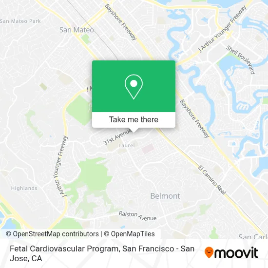 Fetal Cardiovascular Program map