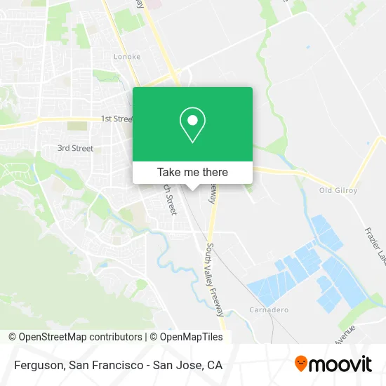 Ferguson map
