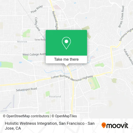 Holistic Wellness Integration map