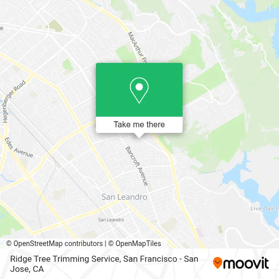 Ridge Tree Trimming Service map