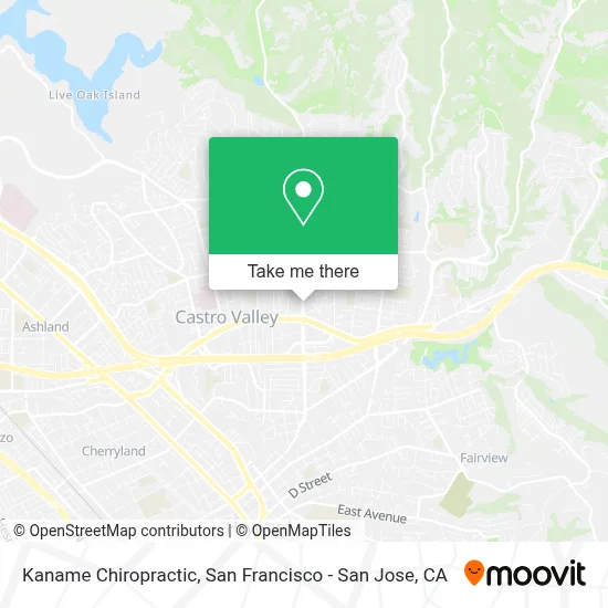 Kaname Chiropractic map