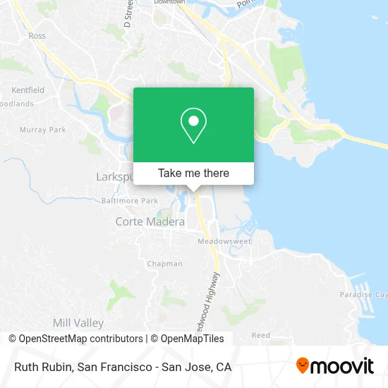 Ruth Rubin map