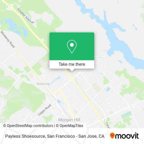 Payless Shoesource map