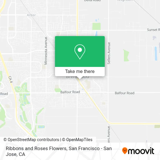 Ribbons and Roses Flowers map