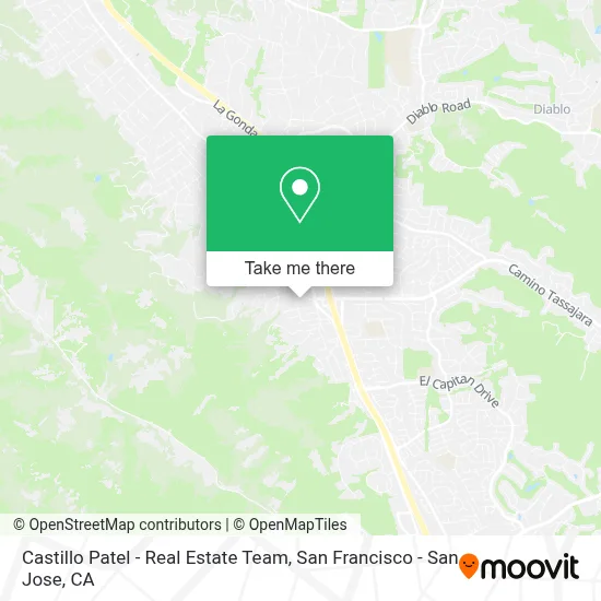 Castillo Patel - Real Estate Team map