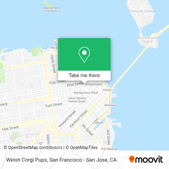 Welsh Corgi Pups map