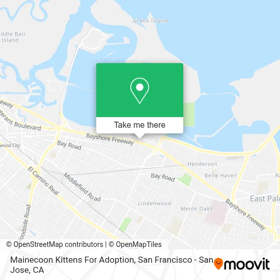 Mainecoon Kittens For Adoption map
