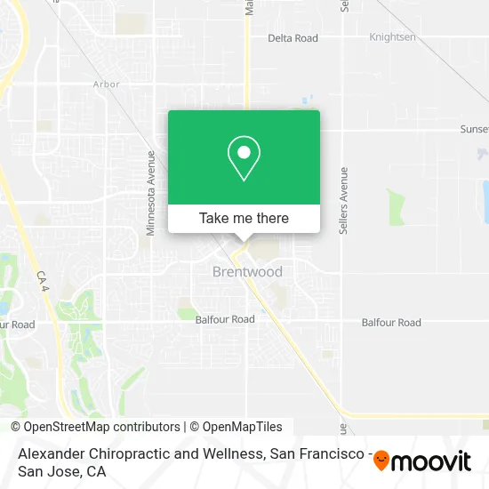 Alexander Chiropractic and Wellness map