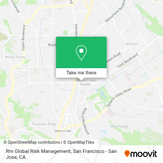 Rm Global Risk Management map