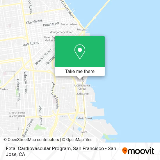 Fetal Cardiovascular Program map