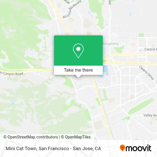 Mini Cat Town map