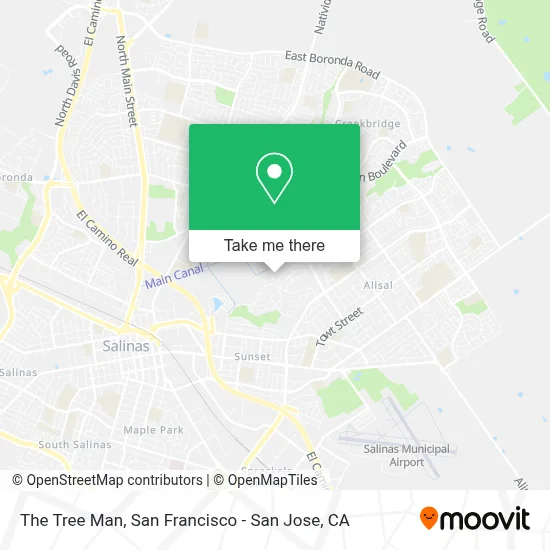 The Tree Man map